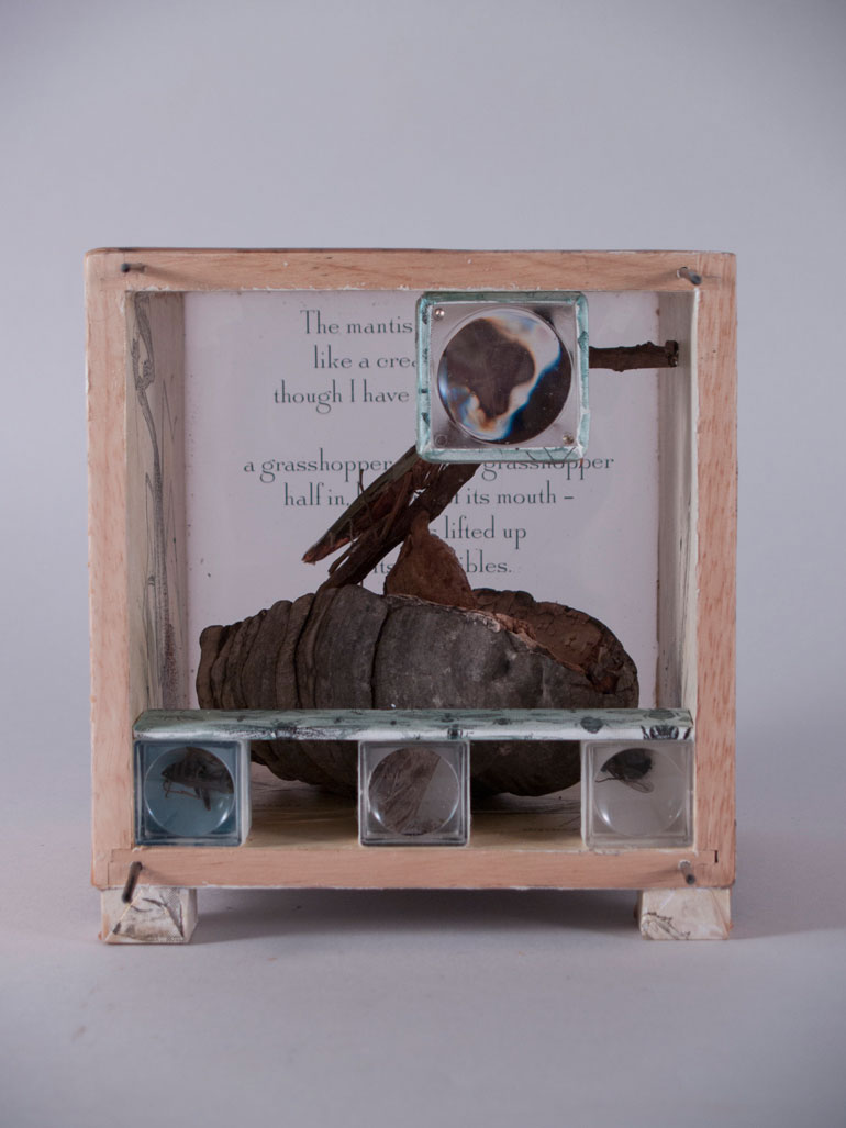 Praying Mantis Box